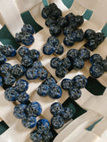 Blueberry Magnets