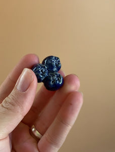 Blueberry Magnets